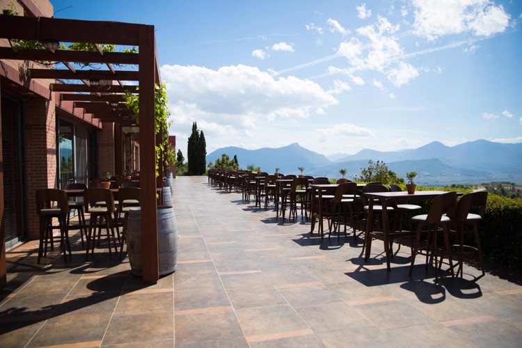 Wine Tasting & Lunch in the Peloponnese